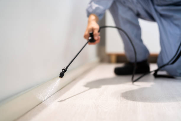 Licensed Pest Control service in Ogden, UT - Show Me Pest Control